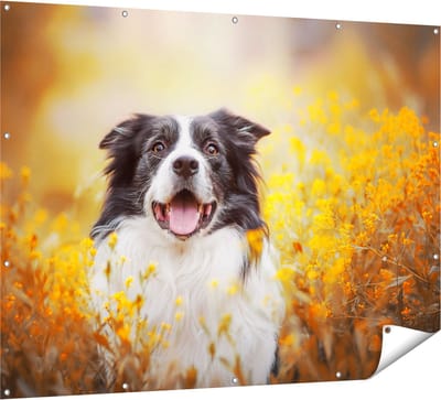 Gards Tuinposter Blije Hond tussen de Bloemen - 160x120 cm - Tuindoek - Tuindecoratie - Wanddecoratie buiten - Tuinschilderij