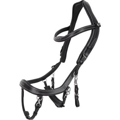 Hoofdstellen voor paarden Presteq FaySport Classic