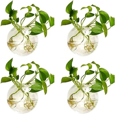 Ronde Glazen Plantenpotten - Mooie Muurdecoratie - 4 Stuks - 10cm Diameter