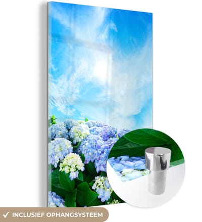 ® Glasschilderij 120x180 cm - Schilderij acrylglas - Japanse hortensia bloemen - Foto op glas - Muurdecoratie woonkamer - Wanddecoratie slaapkamer - Schilderijen