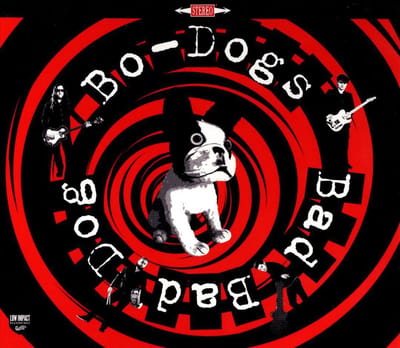Bad Bad Dog!