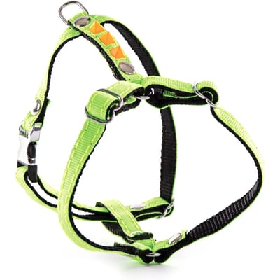 Fluo Harnas voor Hond Martin Sellier