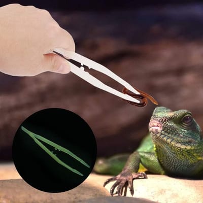 Reptielen Voeder Pincet met Antislip Handvat voor Schorpioenen, Honderdpotigen en Hagedissen - 18 cm Lange Pincet voor Nauwkeurige Voeding