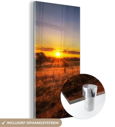 MuchoWow® Glasschilderij 20x40 cm - Schilderij acrylglas - Zon - Gras - Boom - Natuur - Foto op glas - Schilderijen