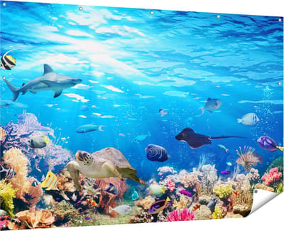 Gards Tuinposter Vissen met Koraalrif onder Water - 180x120 cm - Tuindoek - Tuindecoratie - Wanddecoratie buiten - Tuinschilderij