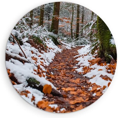 Saammp Muurcirkel Hout - Natuur - Winter - Bospad - landschappen - Ø 90 - Wandcirkel - Wanddecoratie Cirkel - Muurdecoratie Woonkamer - Slaapkamer decoratie - Rond Schilderij