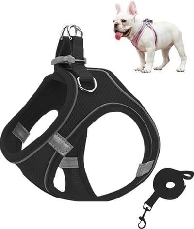 1stuks - M - Harnas voor huisdieren - ademend vest-type riem - Puppy Hond Vest - Hondentuig Hondenharnas - Honden Harnas - Anti Trek Tuig Hond - Huisdier Vest voor Buitentraining Wandelen - Verstelbaar Hondenharnas