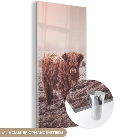 MuchoWow® Glasschilderij 20x40 cm - Schilderij acrylglas - Schotse Hooglanders - Sneeuw - Zon - Foto op glas - Schilderijen