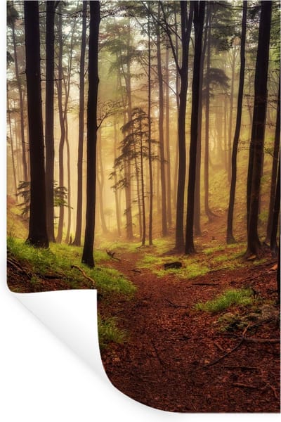 Muurstickers - Sticker Folie - Bomen - Natuur - Bos - 20x30 cm - Plakfolie - Muurstickers Kinderkamer - Zelfklevend Behang - Zelfklevend behangpapier - Stickerfolie