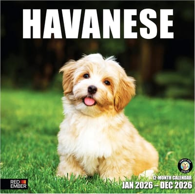 Havanezer Wandkalender 2026 - 12 Maanden - 30,5 x 61 cm - Dik en Stevig Papier - Hondenliefde