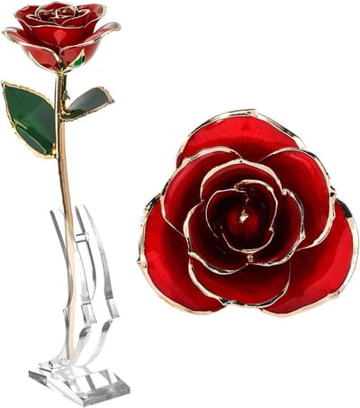 Gouden Roos - Eeuwige Bloemen - Liefde Tonen - Echt Verguld - 32 cm - Rood