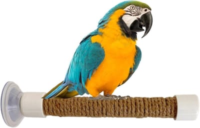 Zitstang Vogel - Vogel Speelgoed - Vogel Training - Zuignap Montage - Maat M - Als Afbeelding