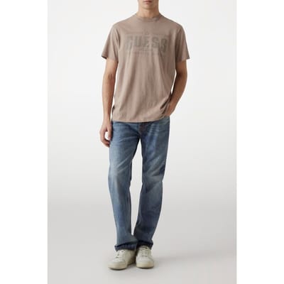 GUESS  Eco Ss Bsc  Traditi Impact Grey Multi Größe: XS | Bedruckte T-Shirts Outlet | Herren | Grau