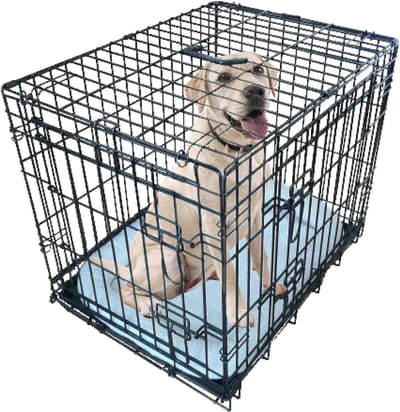 Famanu - Kleine hondenkooi, 24 inch, dubbele deur, metalen lade en hondenmat