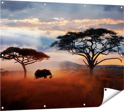 Gards Tuinposter Olifant in het Wild - Savanne - 120x90 cm - Tuindoek - Tuindecoratie - Wanddecoratie buiten - Tuinschilderij