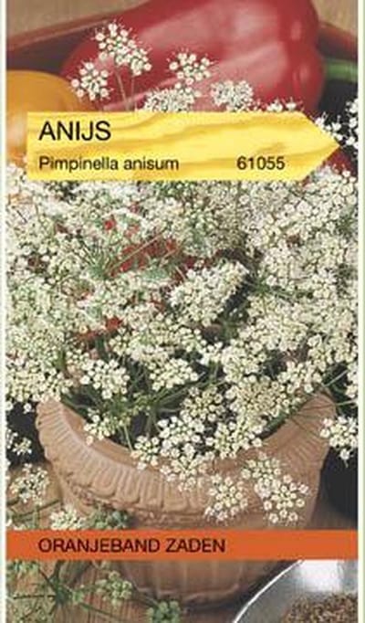 Oranjebandzaden -  Anijs
