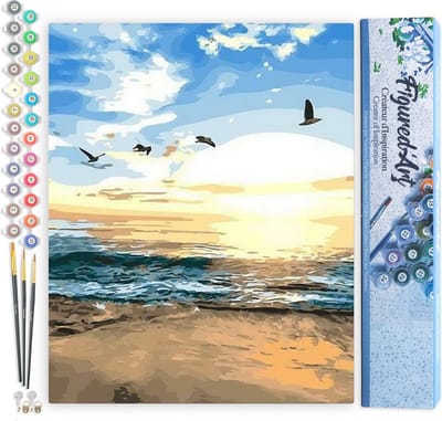 Figured'Art Schilderen op Nummer Volwassenen canvas Vogels en Zeezicht - Handwerk acrylverf Kit DIY Compleet - 40x50cm zonder frame