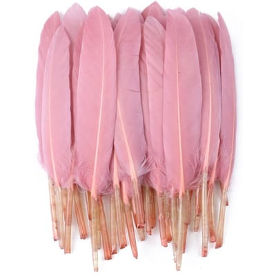 50/100/200 stuks Blauwe Ganzenveren Harde Schacht 4-6inch/10-15cm Echte Natuurlijke Zwanenveer Huis Decoratief Dromenvanger Handwerk 50Pieces