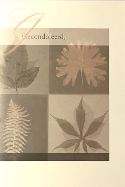Luxe Wenskaart Deelneming - Condoleance - Overlijden - Oprechte Deelneming - Art of Cards - 11,5x17cm - Dubbele Kaart - Met Envelop - Luxe Wens Kaart - Greeting Card - 1 Stuks - In Folie Verpakt - Angel 22 - Gratis Verzonden