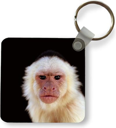Sleutelhanger - Uitdeelcadeautjes - Aap - Vacht - Zwart - Plastic