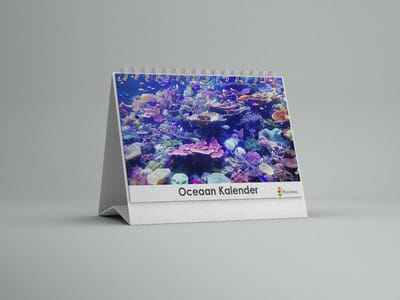 Oceaan Bureau-verjaardagskalender | Oceaan bureaukalender |Bureaukalender 20x12.5 cm