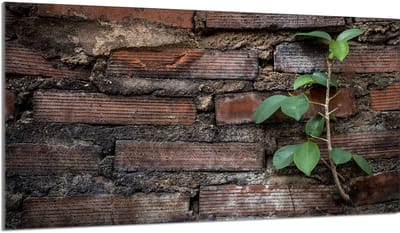 TMK ArtDeko - Snijplank - 90x52 cm - Cegła - Glas - Hartvormig Glas