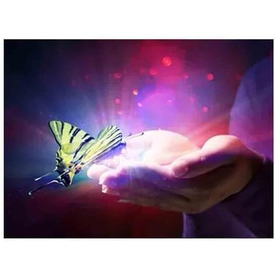 Diamant borduurwerk vlinder in de hand landschap Ull diamant strass foto kruissteek decor 20X30CM purple