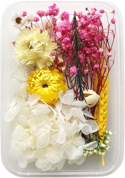 Gedroogde Bloemen Mix - Natuurlijke Decoratie - Ambachtelijk Knutselen - 100% Natuurlijk - 17x12x4cm - Multicolor