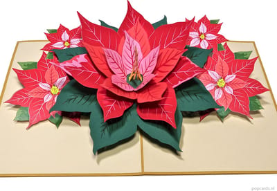 Popcards popupkaarten - Schitterende grote en luxe kerstkaart met grote kerstroos en kleine kerstrozen kerstster pop-up kaart 3D wenskaart