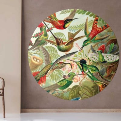 Behangcirkel 125cm Hummingbirds, Ernst Haeckel - Wallz