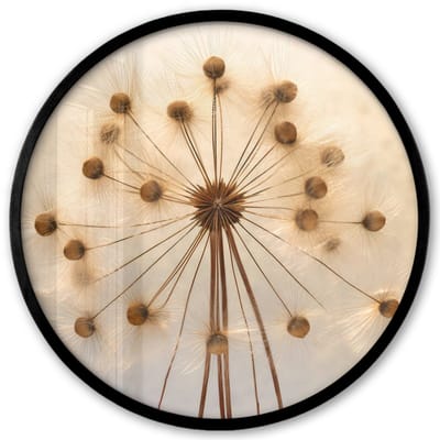 Poster in lijst Rond - Fotolijst 40x40 cm - Posters - Bloemen - Bruin - Planten - Botanisch - Ronde posterlijst zwart - Decoratie - Wanddecoratie woonkamer - Muurdecoratie slaapkamer