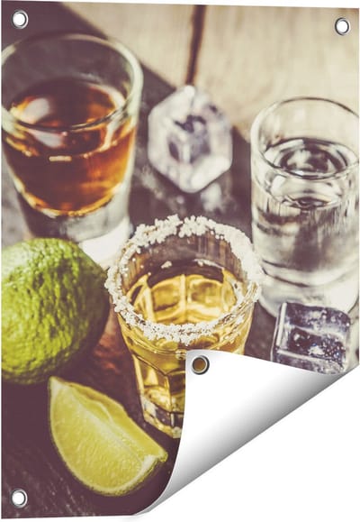 Gards Tuinposter Alcoholische Drankjes - Drank - 40x50 cm - Tuindoek - Tuindecoratie - Wanddecoratie buiten - Tuinschilderij