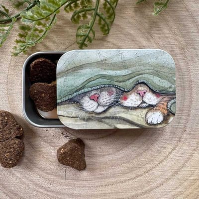 Alex Clark Sliding little Tin Cats Whiskers ~ Langwerpig klein opbergblikje Katten