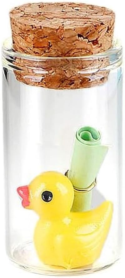 Mini Eend Boodschap in een Fles – Grappig en Romantisch Geschenk met Wenspapier voor Vriend en Vriendin
