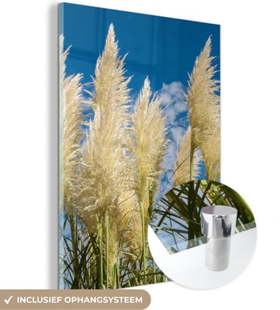 MuchoWow® Glasschilderij 30x40 cm - Schilderij acrylglas - Pampasgras - Plant - Natuur - Foto op glas - Schilderijen