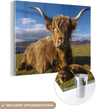 MuchoWow® Glasschilderij 160x120 cm - Schilderij acrylglas - Schotse Hooglander - Dieren - Gras - Foto op glas - Schilderijen