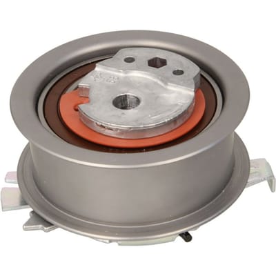 Schaeffler Ina Tandriempoelie INA 531 0825 10