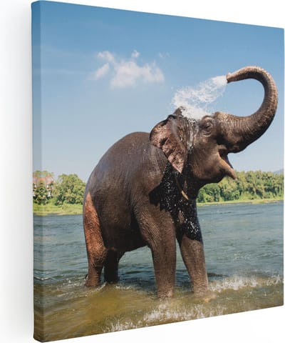 Artaza Canvas Schilderij Olifant - 80x80 cm - Wanddecoratie Dieren - Muurdecoratie Rivier Thailand - Schilderijen Op Canvas