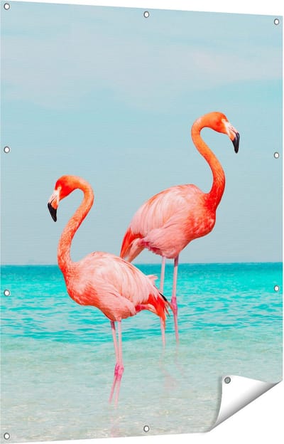 Gards Tuinposter Twee Flamingo's in het Water - 90x120 cm - Tuindoek - Tuindecoratie - Wanddecoratie buiten - Tuinschilderij