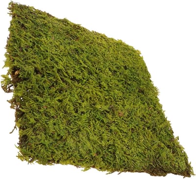 Kunstgras Mat - Nep Gras Gazon - Zandtafel Decoratie - Realistisch Uiterlijk - 30 x 30 cm - Groen
