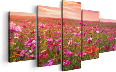 Artaza Canvas Schilderij Vijfluik Kleurrijke Kosmos Bloemenveld - 100x50 - Foto Op Canvas - Canvas Print