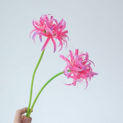 Spinlelie - donkerroze - zijden bloemen - 3 stelen - onderhoudsvrij - 50 cm - kunstbloemen