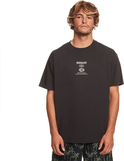 Quiksilver Quik Ways Ss T-shirt Met Korte Mouwen Bruin M Man