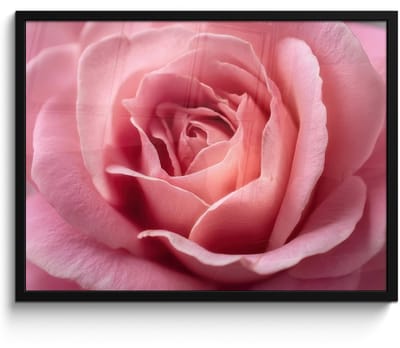 Poster in lijst - Fotolijst 70x50 cm - Posters - Roze - Roos - Romantisch - Posterlijst zwart - Decoratie - Wanddecoratie woonkamer - Muurdecoratie slaapkamer