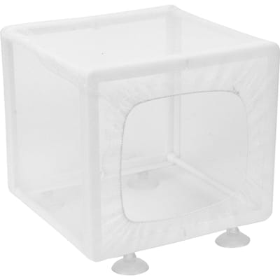 Boîte d'isolement pour poissons d'aquarium, boîte d'élevage, éclosoir, incubateur avec ventouses