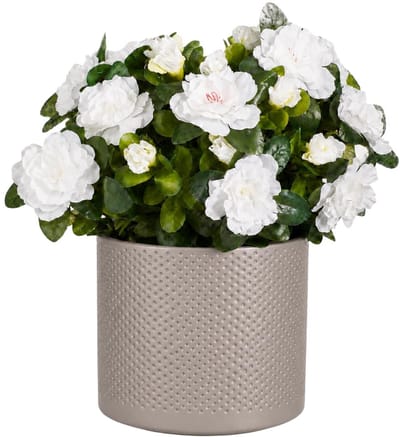 Mica Decorations Kunstplant - Azalea wit - H31 cm - in taupe bloempot - keramiek - complete set van pot en plant - decoratie stuk