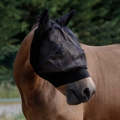 Rechthoekige vliegenmas voor het paard Umbria Equitazione