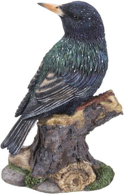 HotAnt Tuinbeeld dieren - Spreeuw met geluid (Polystone) - Voor buiten - Tuin decoratie - Cadeau