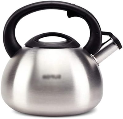 Theeketel RVS - Waterkoker - Water Koken - Luid Kookgeluid - 2.5L Capaciteit - Zilver