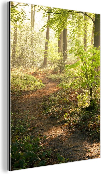 Aluminium schilderij 60x80 cm - Wanddecoratie metaal - Bos - Bomen - Pad - Zon - Planten - Bladeren - Natuur - Metalen muurdecoratie woonkamer - Decoratie industrieel - Foto op dibond - Industriële accessoires slaapkamer